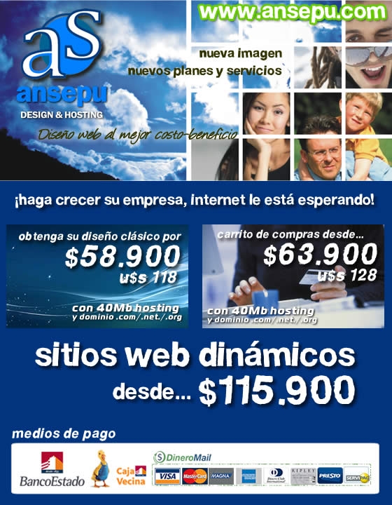 Foto Diseño web economico en chile, paginas web para pymes