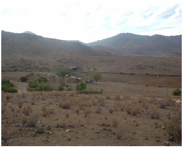 Foto Oferta terreno 377 hectareas, combarbala iv region, chile
