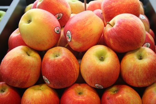 Foto Vendo fruta para mercado nacional