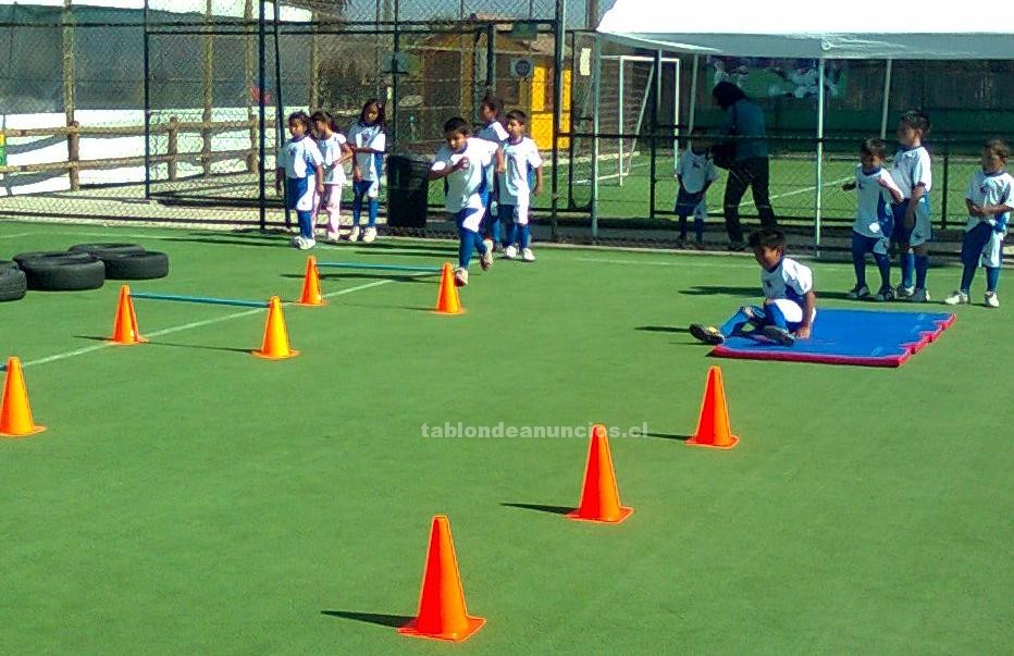 Foto 100% escuela de futbol - 100% profesional - mas sport chile en la serena.