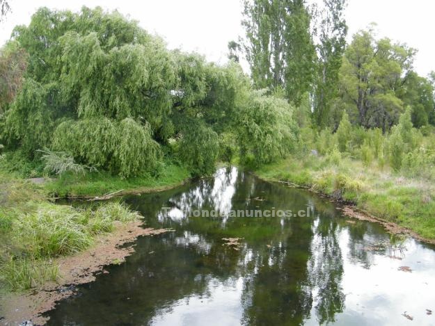 Foto Vendo parcela de 16 hectareas  rio y esteros    4  hÀs  con pinos    luz el