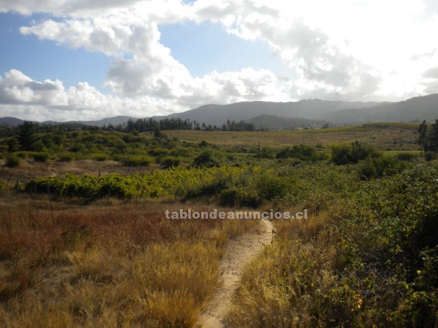 Foto Terreno agricola 2,5 hectareas sector tierras amarillas, coronel de maule