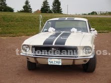Foto Ford mustang 68