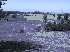 Venta de terrenos en sector ignao-lago ranco-chile