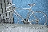 Bicicleta pistera, marco 50, aro 28. Ciclismo