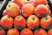 Vendo fruta para mercado nacional