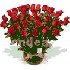Envío de flores a domicilio, rosas ecuatorianas, ramos de flores, arreglos